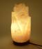 Лампа солевая Цветок Wonder Life в подарочной упаковке фотография